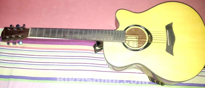 Devizer Acoustic Guitar